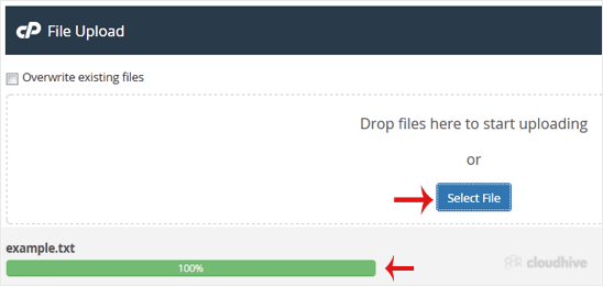 Cara Upload File melalui File Manager cPanel
