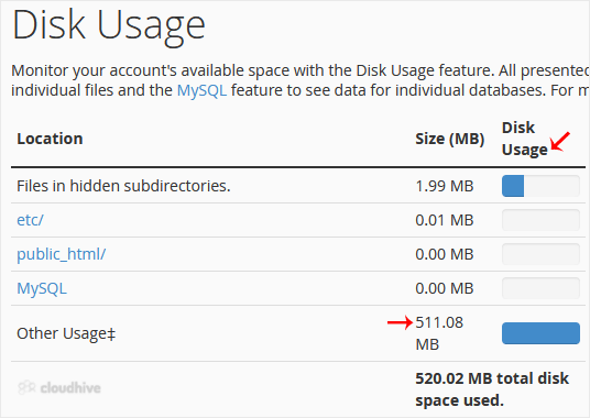 Cara Mengecek Penggunaan Disk dan Bandwidth di cPanel