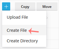 Cara Membuat Direktori atau File di File Manager Plesk