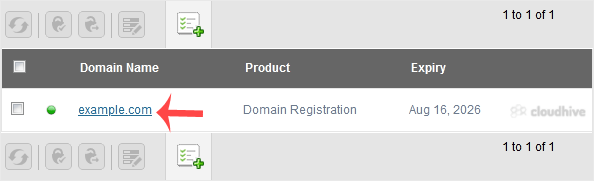 Cara Mengubah Nameserver Domain di NetEarthOne atau Registrar Berbasis LogicBoxes