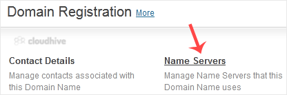 Cara Mengubah Nameserver Domain di NetEarthOne atau Registrar Berbasis LogicBoxes